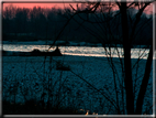 foto Tramonto sul fiume Brenta